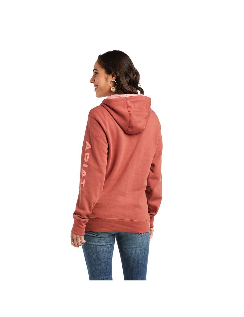 Sudadera Con Capucha Ariat REAL Arm Logo Mujer Multicolor | VZHT56381