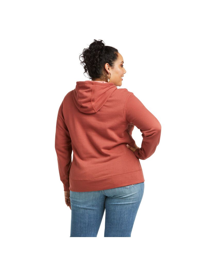 Sudadera Con Capucha Ariat REAL Arm Logo Mujer Multicolor | VZHT56381