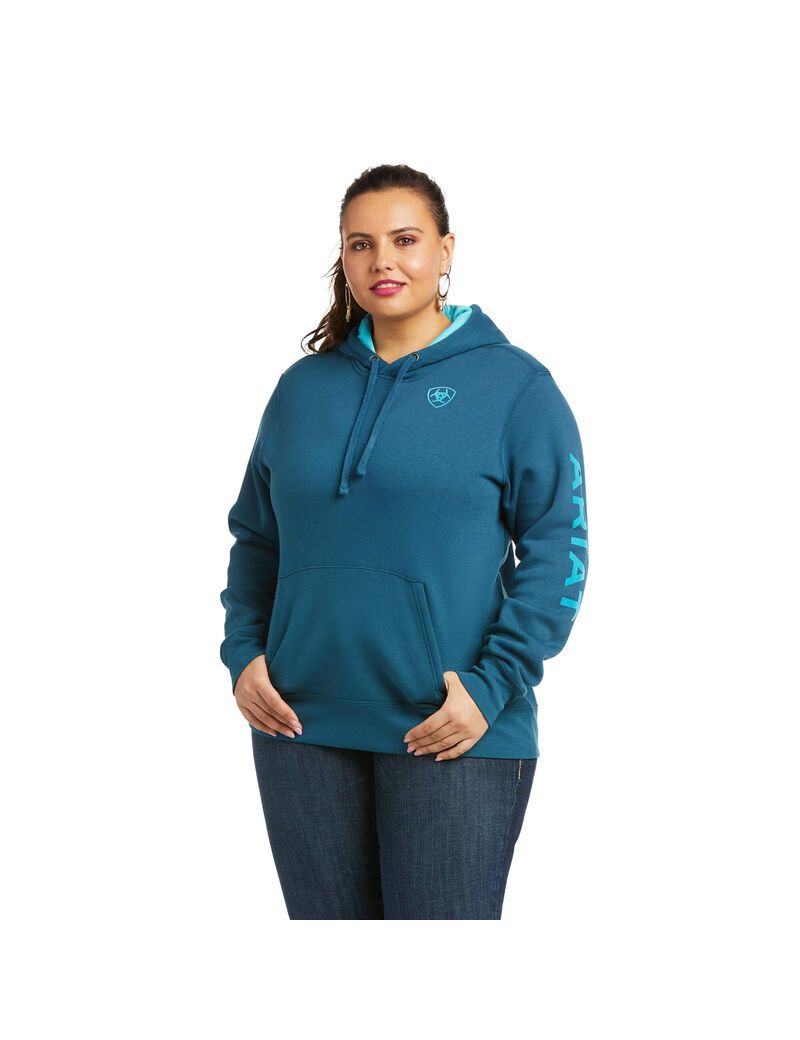 Sudadera Con Capucha Ariat REAL Arm Logo Mujer Multicolor | YQVZ10897