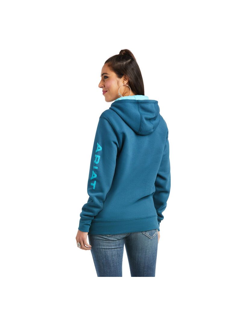 Sudadera Con Capucha Ariat REAL Arm Logo Mujer Multicolor | YQVZ10897