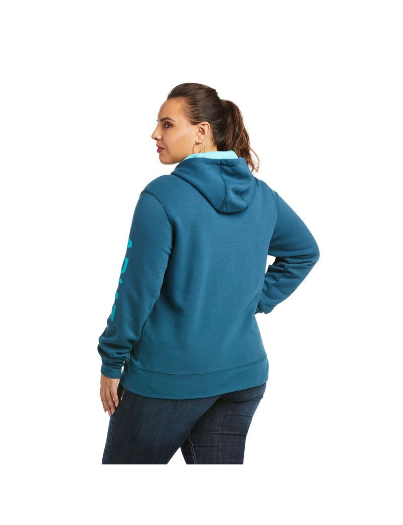 Sudadera Con Capucha Ariat REAL Arm Logo Mujer Multicolor | YQVZ10897