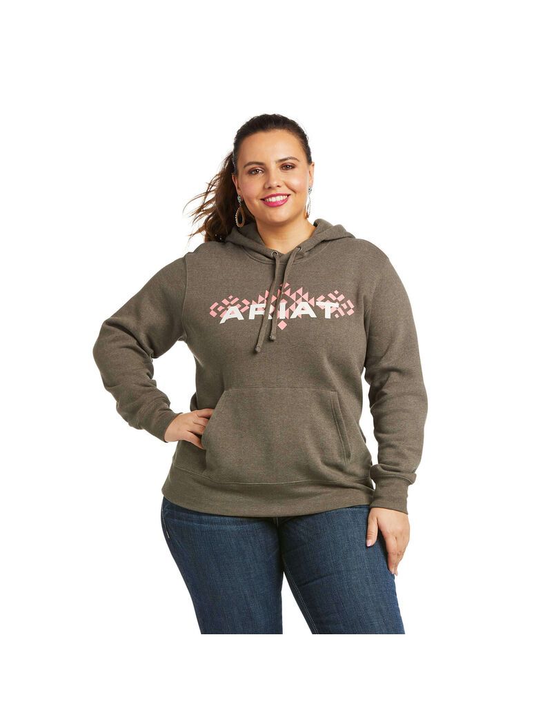 Sudadera Con Capucha Ariat REAL Arm Logo Mujer Multicolor | ZYWV58146