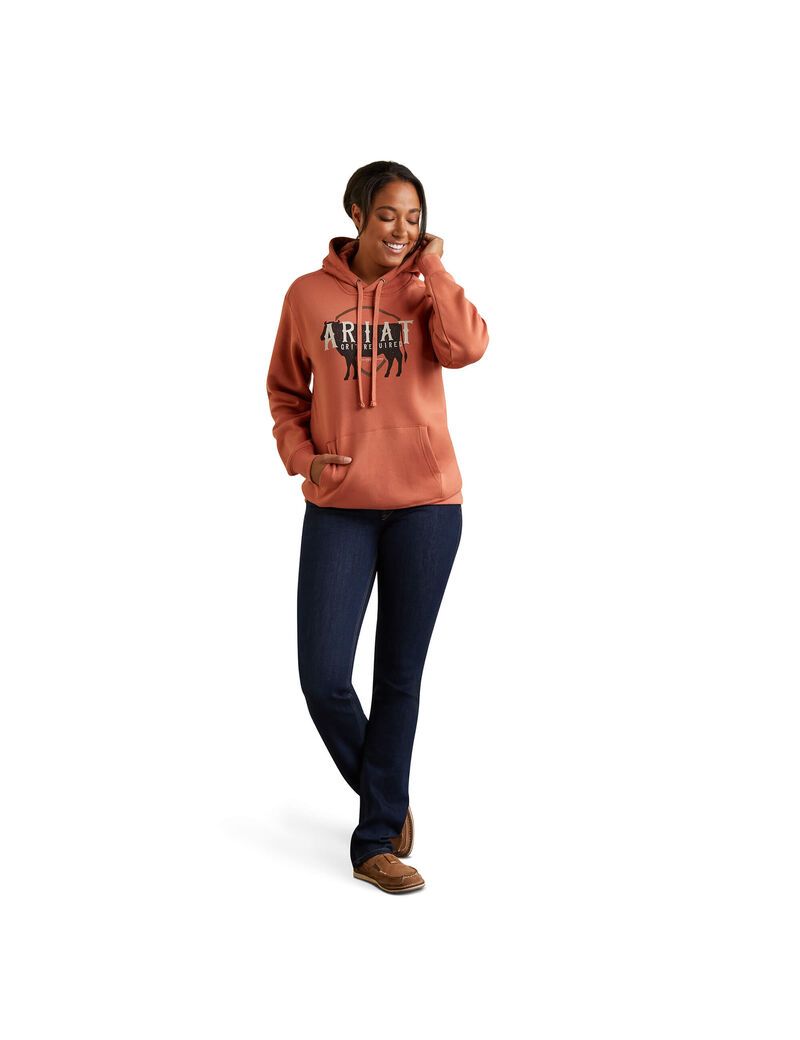 Sudadera Con Capucha Ariat REAL Branded Logo Mujer Multicolor | PJMK79804