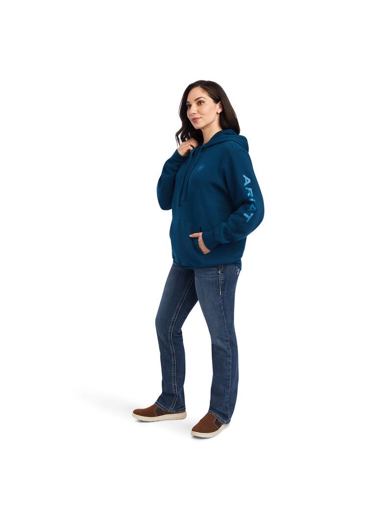 Sudadera Con Capucha Ariat REAL Classic Arm Logo Mujer Multicolor | DNMI02769