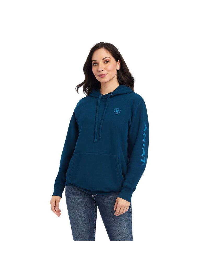 Sudadera Con Capucha Ariat REAL Classic Arm Logo Mujer Multicolor | DNMI02769