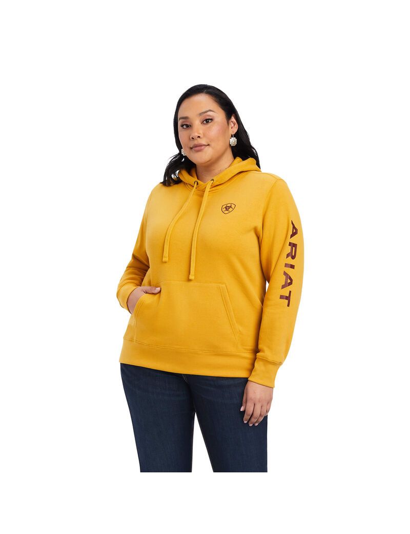 Sudadera Con Capucha Ariat REAL Classic Arm Logo Mujer Doradas | IXLM73540