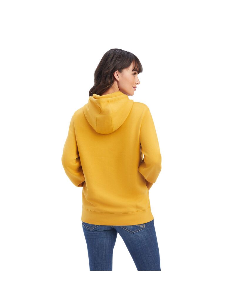 Sudadera Con Capucha Ariat REAL Classic Arm Logo Mujer Doradas | IXLM73540