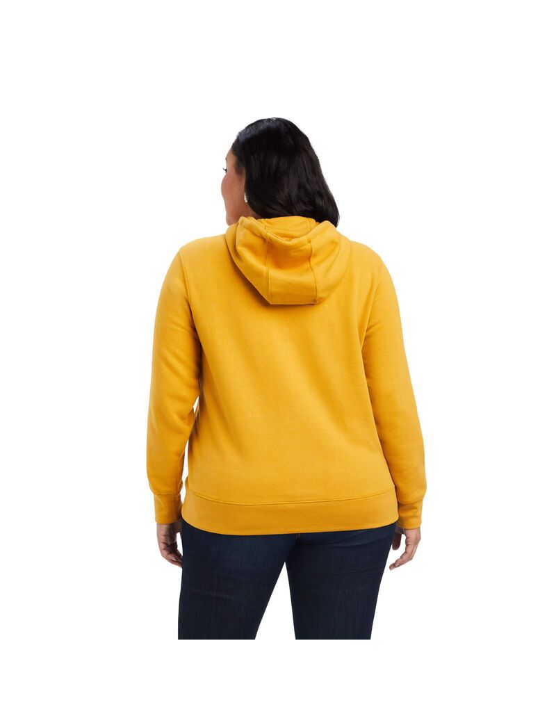 Sudadera Con Capucha Ariat REAL Classic Arm Logo Mujer Doradas | IXLM73540