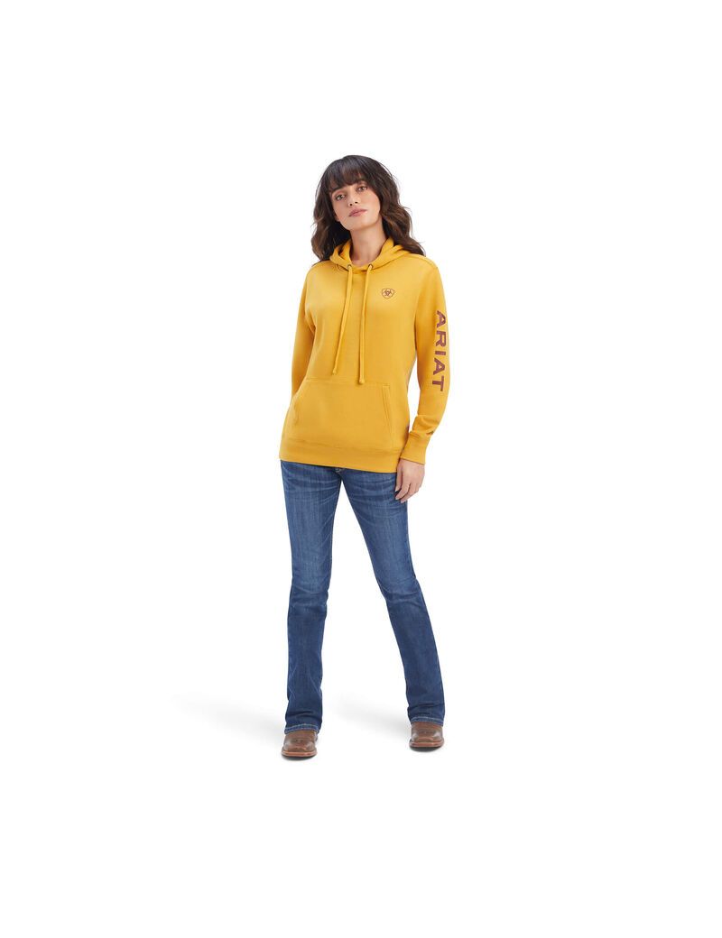 Sudadera Con Capucha Ariat REAL Classic Arm Logo Mujer Doradas | IXLM73540