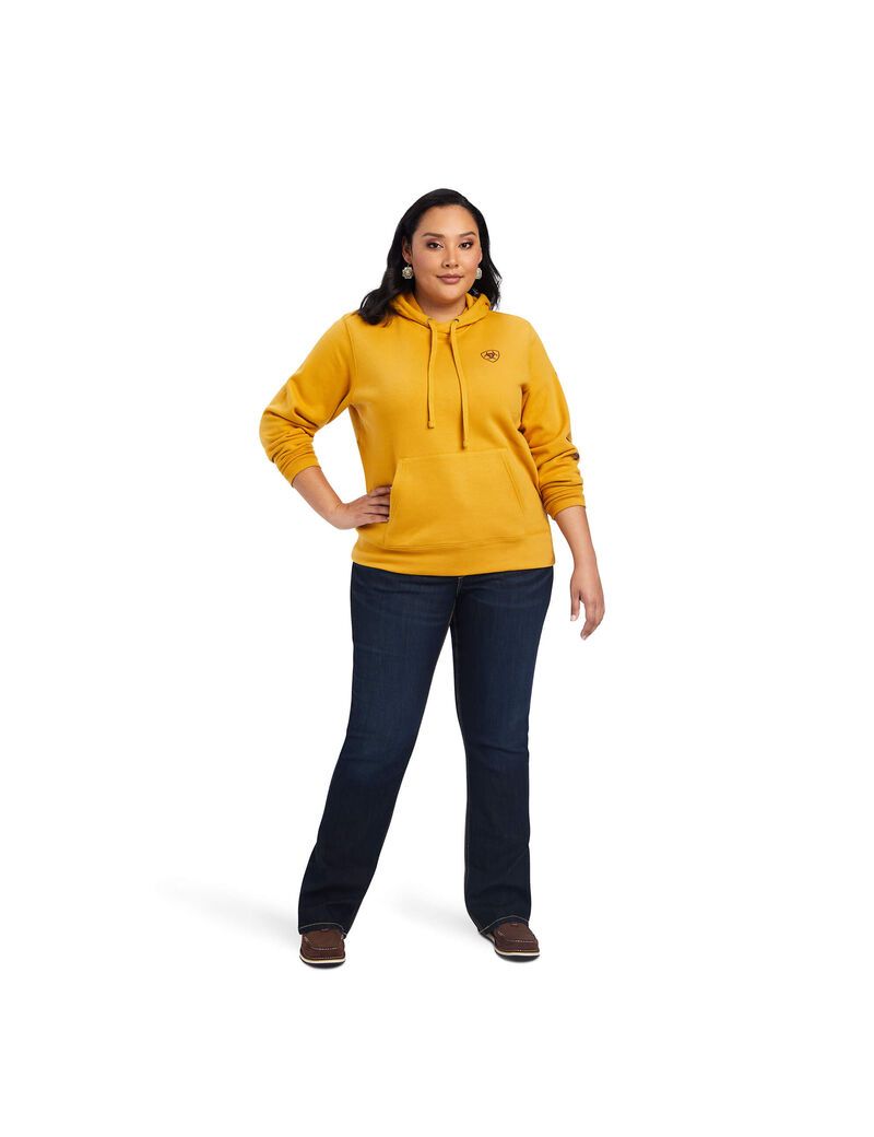 Sudadera Con Capucha Ariat REAL Classic Arm Logo Mujer Doradas | IXLM73540