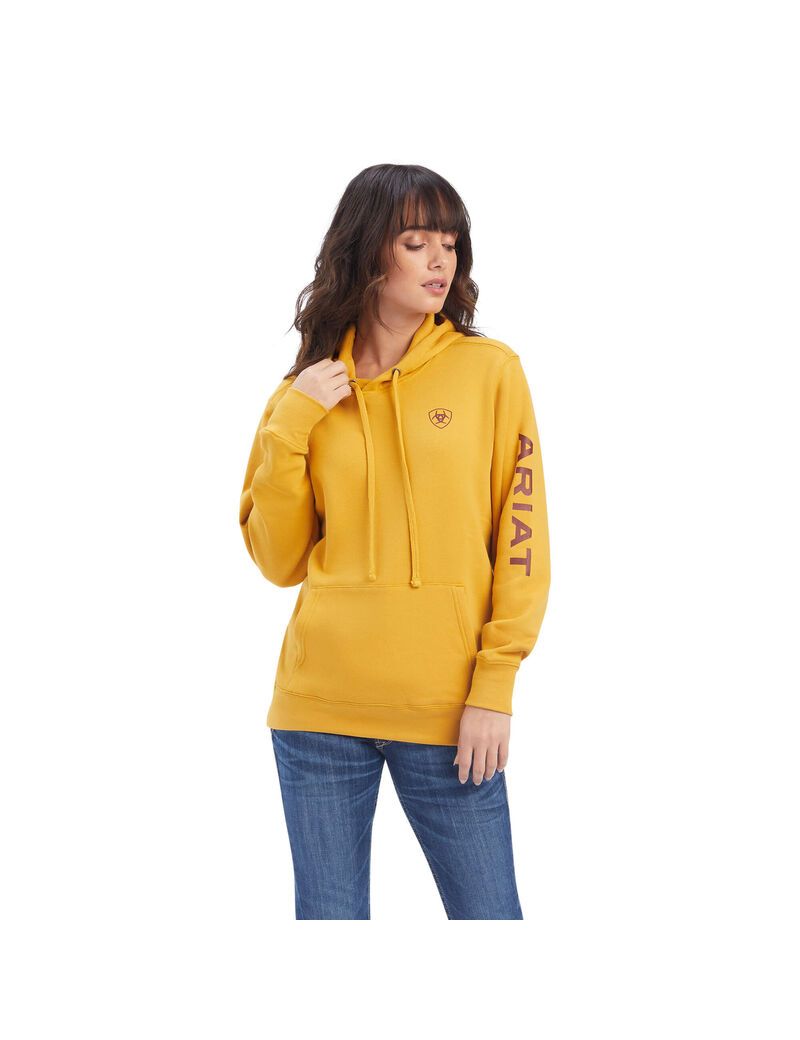 Sudadera Con Capucha Ariat REAL Classic Arm Logo Mujer Doradas | IXLM73540