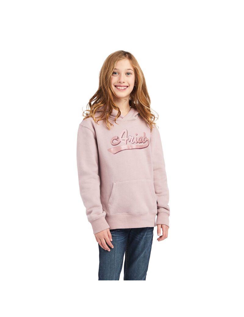 Sudadera Con Capucha Ariat REAL Glitter Logo Niños Rosas | HGEK68970