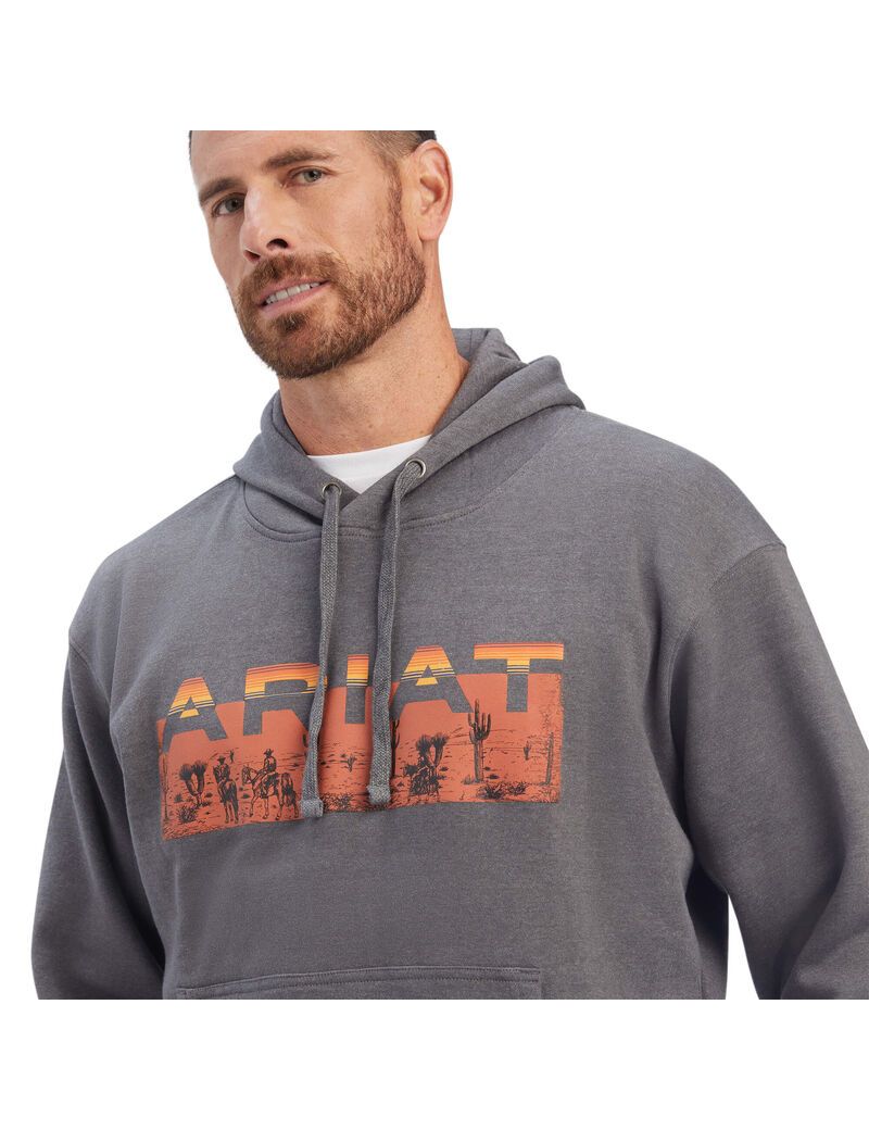 Sudaderas Ariat Desert Roam Hombre Gris | BAKD06547