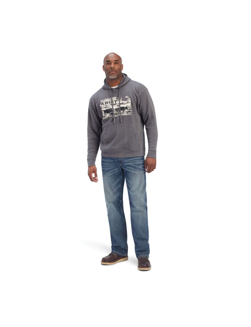 Sudaderas Ariat Pastures Hombre Gris | OIFM32548