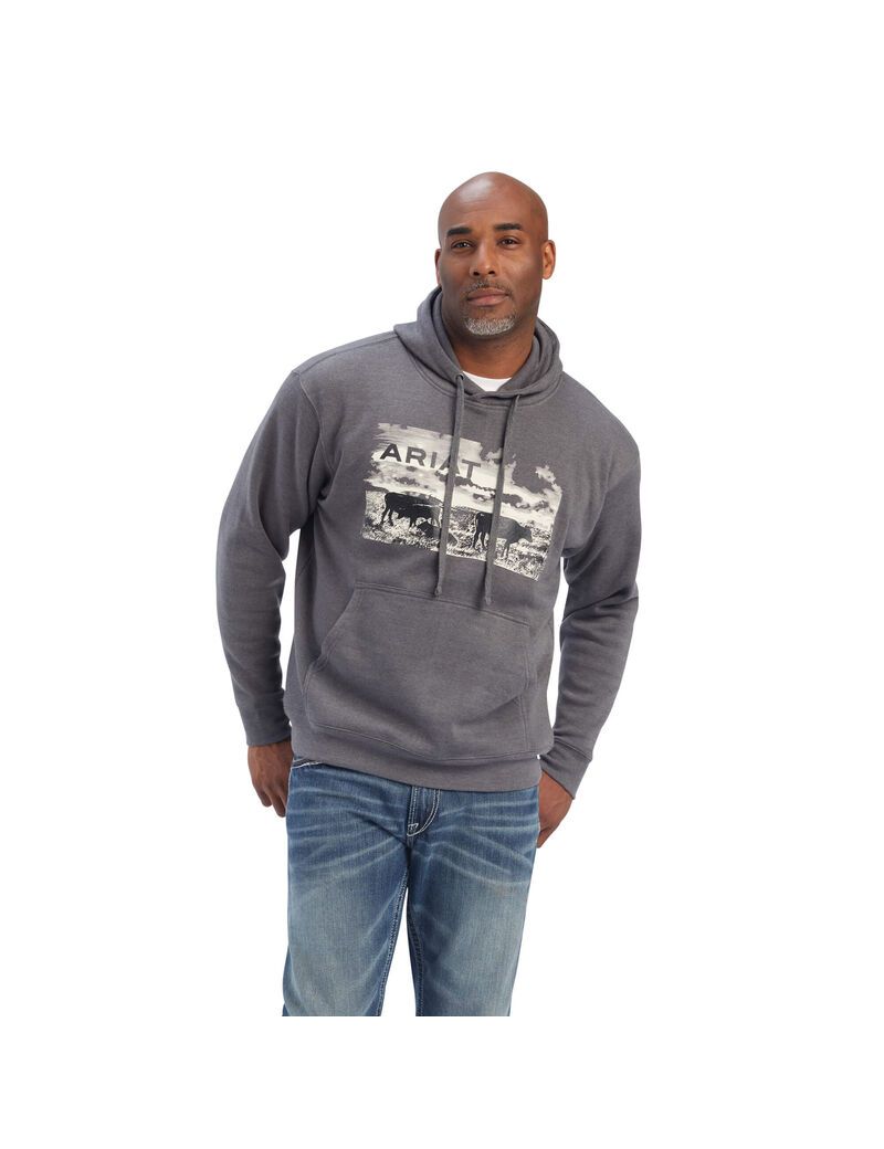 Sudaderas Ariat Pastures Hombre Gris | OIFM32548