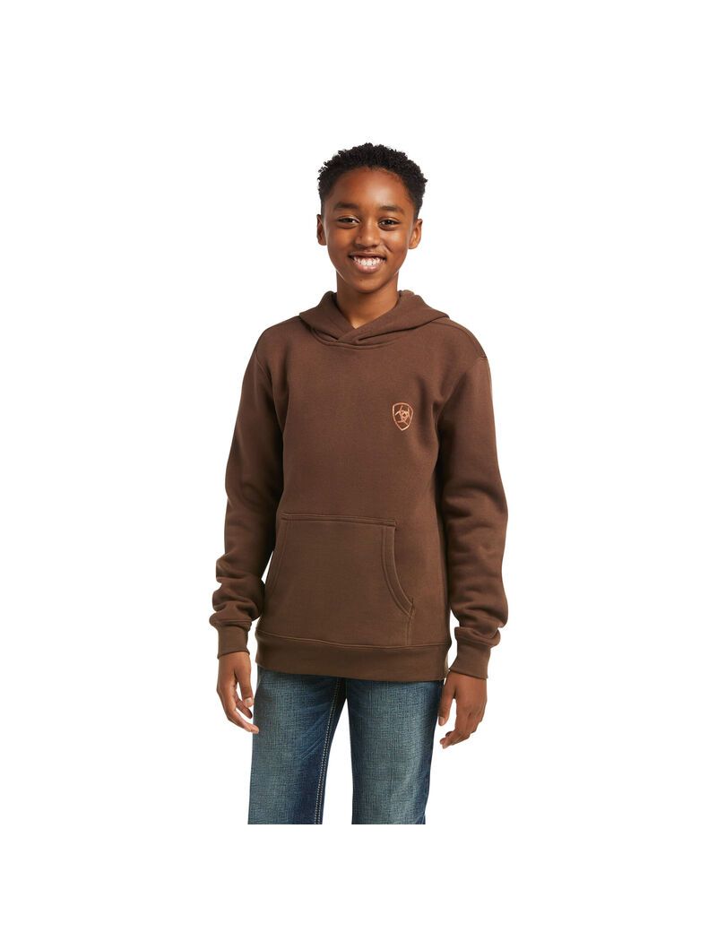 Sudaderas Ariat Patriot 2.0 Niños Marrones Marrones | VPHE80596