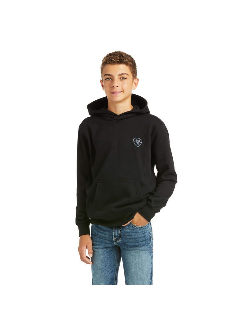 Sudaderas Ariat Patriot 2.0 Niños Negras Gris | LDGU30964