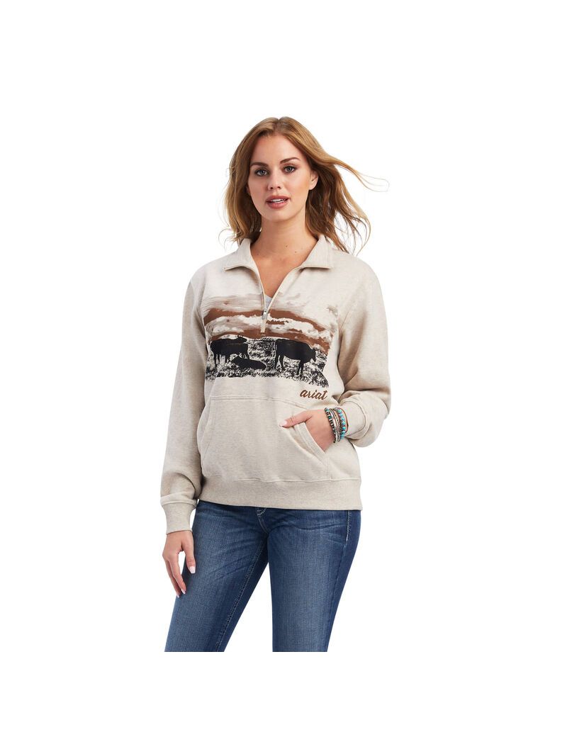 Sudaderas Ariat REAL Scenic 1/2 Zip Mujer Marrones | NURE48051