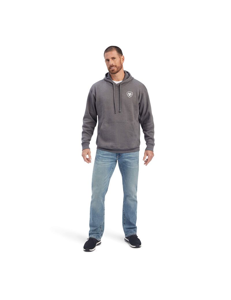 Sudaderas Ariat Southwest Shield Hombre Gris | QCDR05168