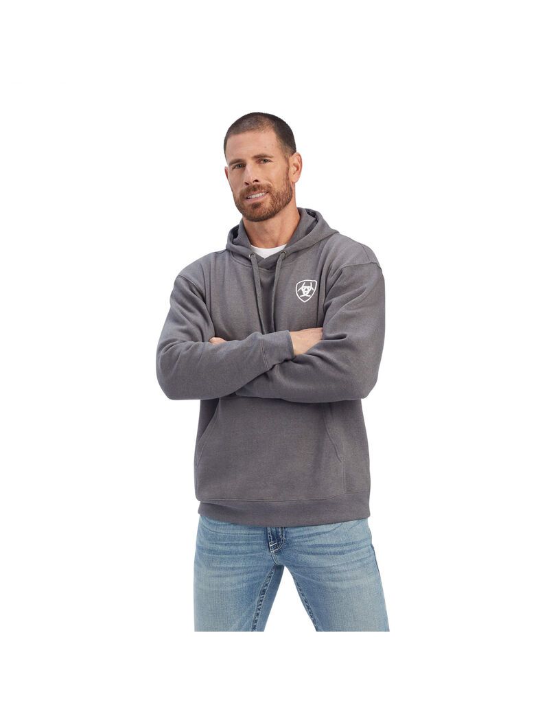 Sudaderas Ariat Southwest Shield Hombre Gris | QCDR05168