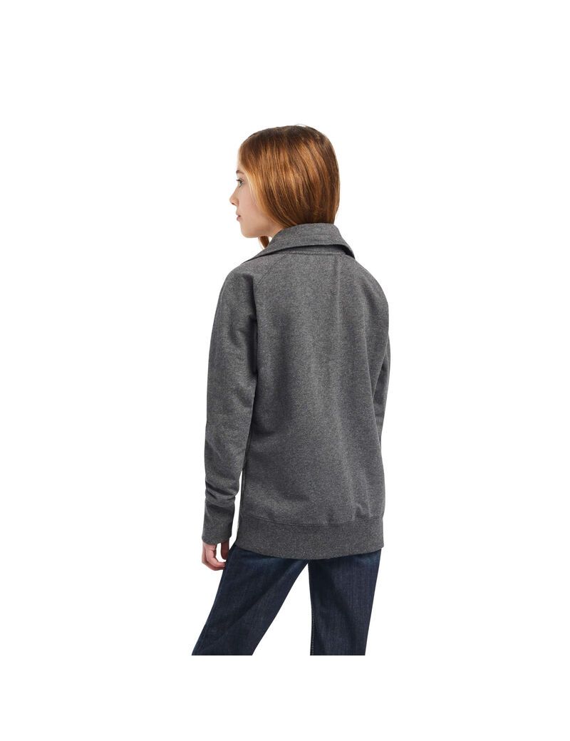 Sudaderas Ariat Team Logo Full Zip Niños Gris | LVJQ73648