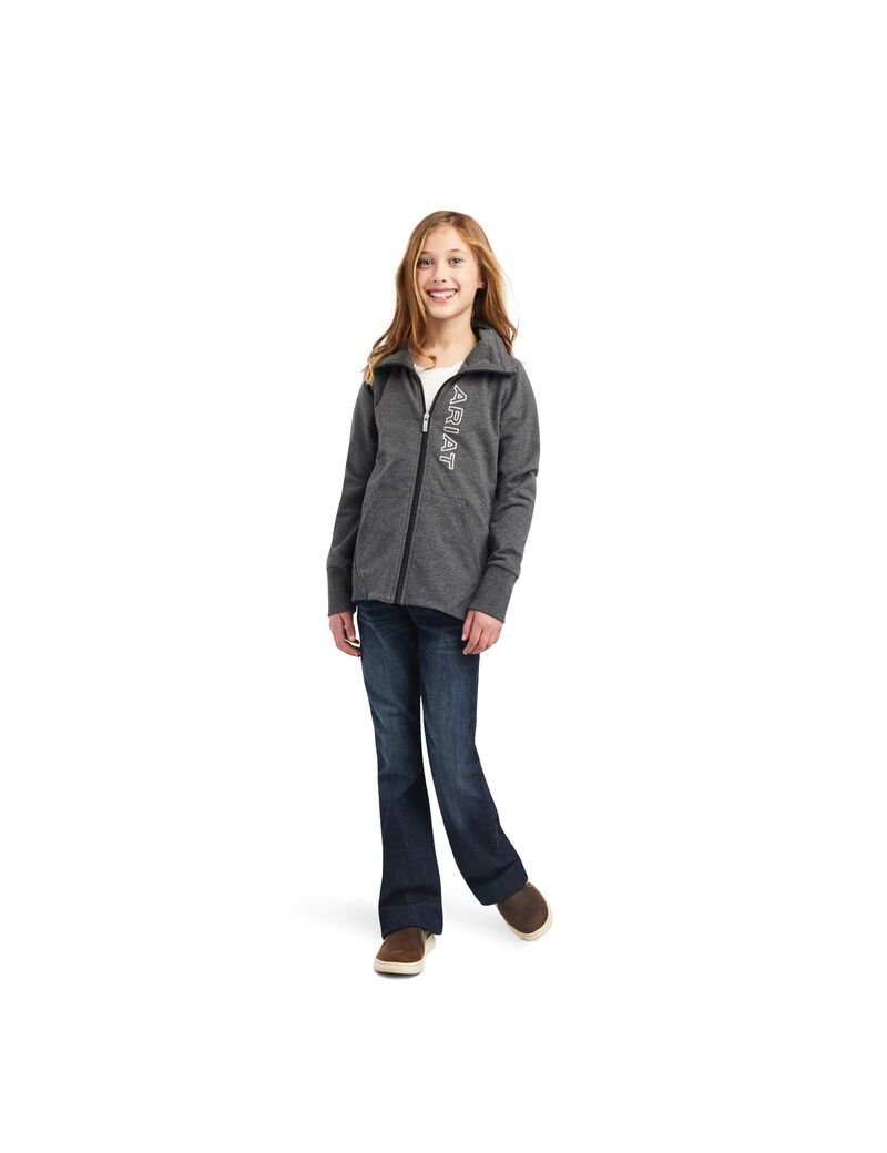 Sudaderas Ariat Team Logo Full Zip Niños Gris | LVJQ73648