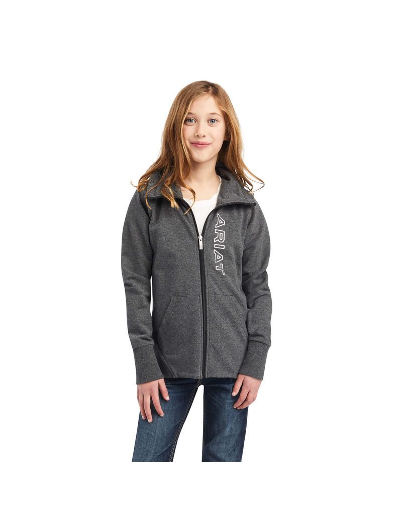 Sudaderas Ariat Team Logo Full Zip Niños Gris | LVJQ73648