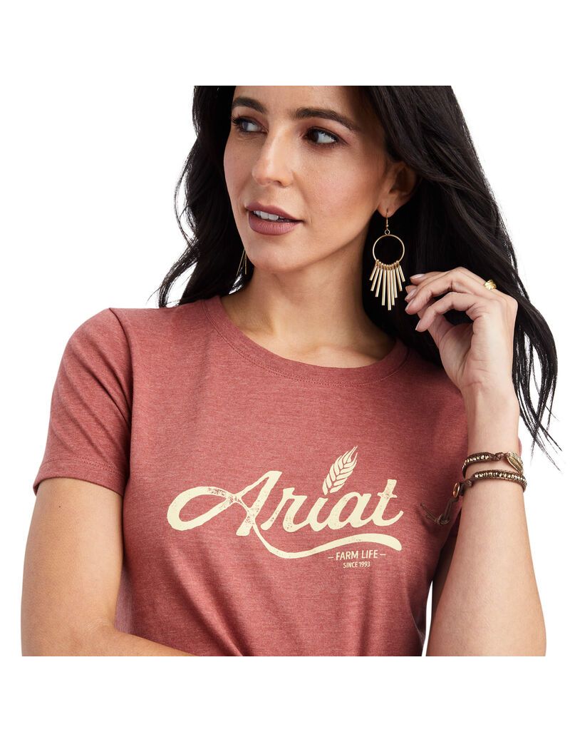 Tops Ariat Wheat Script Tee Mujer Rojas | AMDZ43268