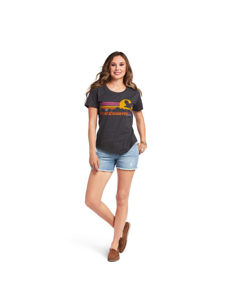 Tops Ariat Wild Country Mujer Gris | DAQU63052