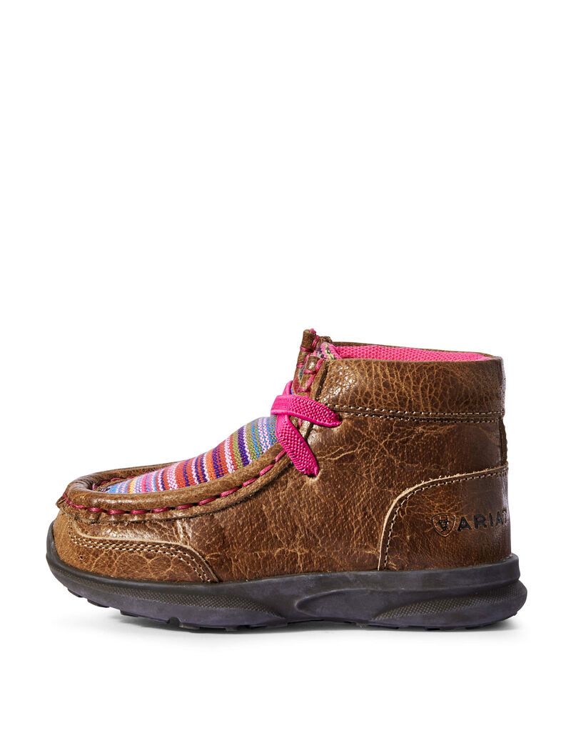 Zapatos Casuales Ariat Toddler Lil' Stompers Aurora Spitfire Niños Marrones | JAKP82146